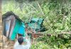 চন্দ্রঘোনায় বিদ্যুৎ বিহীন ৪ দিন জনভোগান্তি, গাছ পড়ে ঘরবাড়ির ক্ষতি