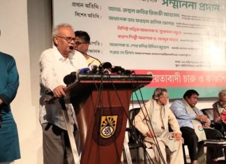 সংকট মোকাবিলায় সংশ্লিষ্ট মন্ত্রীকে বড় ধরনের ড্রাইভ দিতে হবে: রিজভী