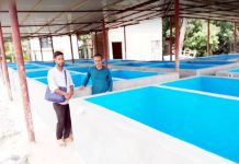 হালদায় ডিম সংগ্রহ করে ডিম ফুটানোর জন্য হ্যচারী প্রস্তুত, ভারী বর্ষণের অপেক্ষার প্রহর গুনছেন ডিম সংগ্রহকারীরা