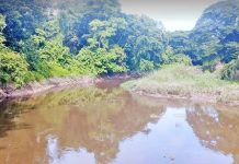 দূষণের শিকার হালদা নদীর জীববৈচিত্র্য হুমকির মুখে