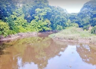 দূষণের শিকার হালদা নদীর জীববৈচিত্র্য হুমকির মুখে