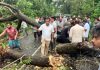 খাগড়াছড়ির লক্ষ্মীছড়িতে ৫ দিন ধরে বিদুৎ সংযোগ নেই