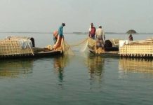 ২৪ এপ্রিল মধ্যেরাত থেকে কাপ্তাই হ্রদে মাছ ধরায় নিষেধাজ্ঞা