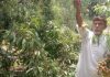 পাখি-প্রাণীর জন্য উন্মুক্ত লিচু বাগান