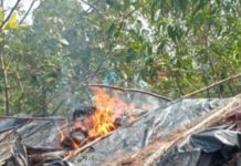 আদালতে মামলা করায় বেপরোয়া আসামিরা, সাংবাদিকের বাড়িতে আগুন