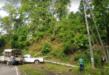 কাপ্তাইয়ে গাছ পড়ে পিলার ভাঙ্গার ২৪ ঘণ্টা পর বিদ্যুৎ সরবরাহ স্বাভাবিক