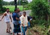 সড়কের ঝুঁকিপূর্ণ বাঁকে আগাছা পরিষ্কার করলেন বিএনপি নেতাকর্মীরা