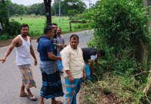 সড়কের ঝুঁকিপূর্ণ বাঁকে আগাছা পরিষ্কার করলেন বিএনপি নেতাকর্মীরা