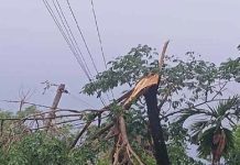 মিরসরাইয়ে কালবৈশাখী ঝড়ে বিদ্যুৎ বিচ্ছিন্ন, দুর্ভোগে হাজার হাজার গ্রাহক