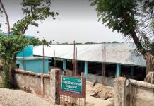হালদা নদীতে প্রথম ধাপে ৬ হাজার কেজি ডিম থেকে ১৫২ কেজি রেণু উৎপাদন