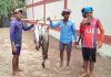 নাফ নদীতে ধরা পড়লো ৬ কোরাল, ৪২ হাজারে বিক্রি