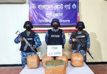 টেকনাফে কোস্ট গার্ডের অভিযানে ২০ কেজি গাঁজা উদ্ধার