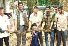 উদ্ধার হওয়া অজগর কাপ্তাই ন্যাশনাল পার্কে অবমুক্ত