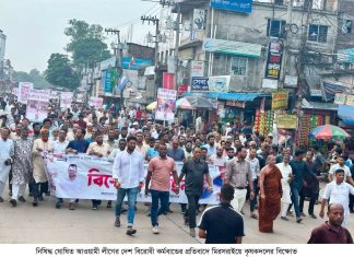 মিরসরাইয়ে কৃষক দলের বিক্ষোভ মিছিল ও সমাবেশ
