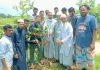 নোয়াজিষপুরে ‘ইলাভেন স্টার যুব সংঘ’র বৃক্ষরোপণ ও ফলজ গাছের চারা বিতরণ