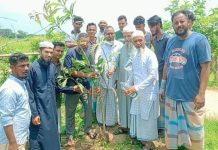 নোয়াজিষপুরে ‘ইলাভেন স্টার যুব সংঘ’র বৃক্ষরোপণ ও ফলজ গাছের চারা বিতরণ