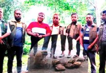 কক্সবাজারে বনবিভাগের অভিযাcb মুখপোড়া হনুমানসহ ১২ কচ্ছপ উদ্ধার, আটক ১