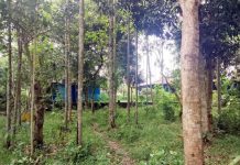 রাউজানের একাংশ হাটহাজারীর সীমনায় সম্পৃক্ত হয়ে বসবাস করছে