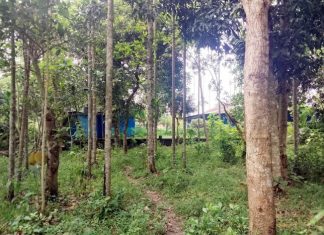 রাউজানের একাংশ হাটহাজারীর সীমনায় সম্পৃক্ত হয়ে বসবাস করছে