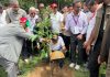 কক্সবাজারে ২৫ কোটি বৃক্ষরোপণ কর্মসূচির উদ্বোধন করলেন প্রধানমন্ত্রী