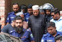 দুই মামলায় জামিন পেলেন আমির হামজা