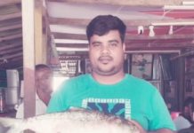 ভোলায় ২ কেজি ৮০০ কেজির ইলিশ ধরা, বিক্রি ৯ হাজার টাকায়