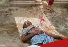 খুটাখালীতে ছোট ভাইয়ের হাতে বড় ভাই খুন