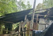 কাপ্তাইয়ের চিৎমরমে বন্য হাতির আক্রমণ নিত্যনৈমিত্তিক ঘটনা, জনসাধারণ চরম আতংকে