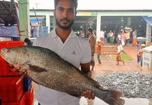৮ কেজি ওজনের ‘কালো পোয়া’ বিক্রি অর্ধলাখে