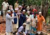 বন্যায় ক্ষতিগ্রস্ত পরিবারের মাঝে বাঁশখালী জামায়াতের উদ্যোগে ত্রাণসামগ্রী বিতরণ